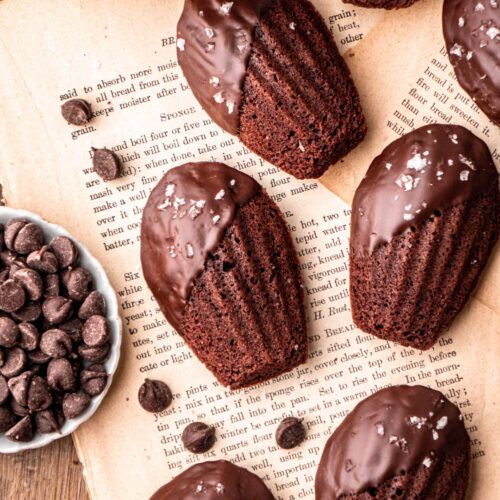 madeline chocolat